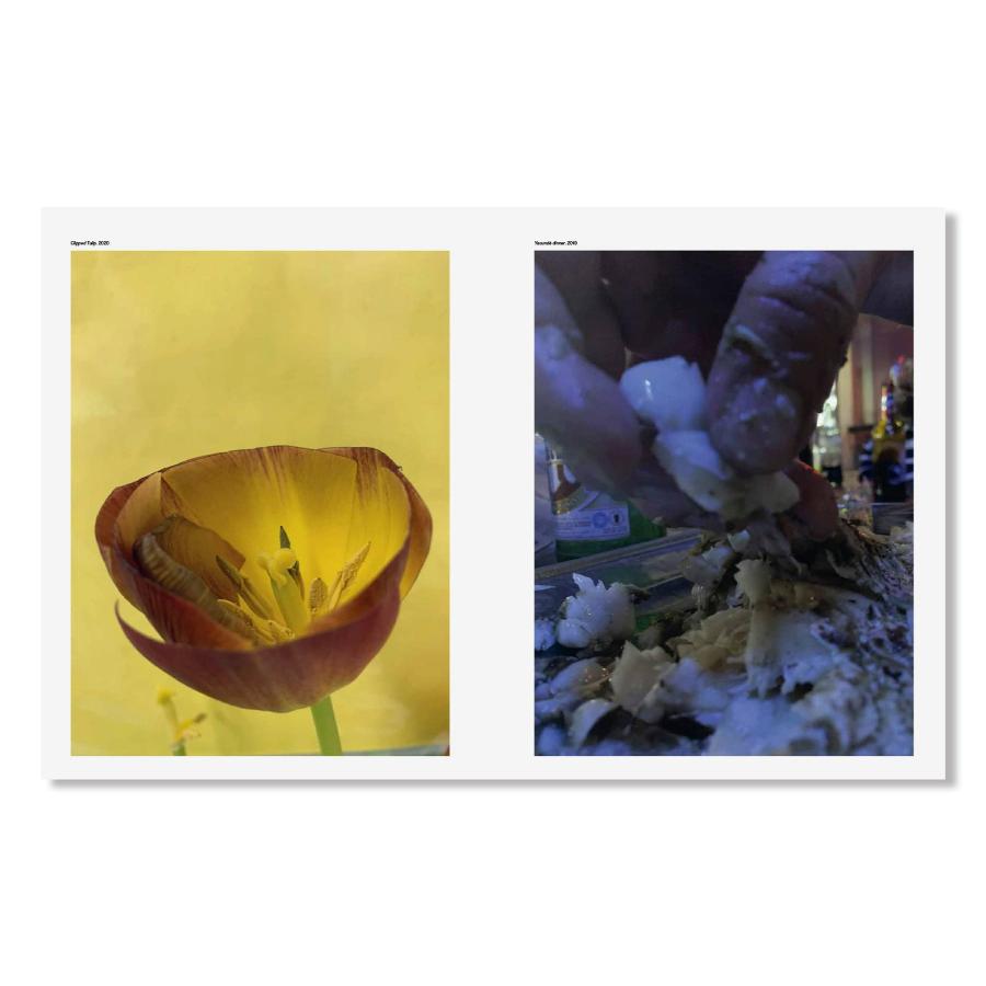 Wolfgang Tillmans: To Look Without Fearの画像