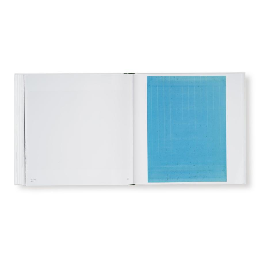 Wolfgang Tillmans: Saturated Lightの画像