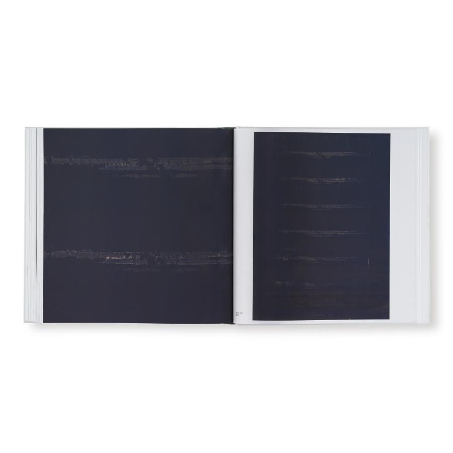 Wolfgang Tillmans: Saturated Lightの画像
