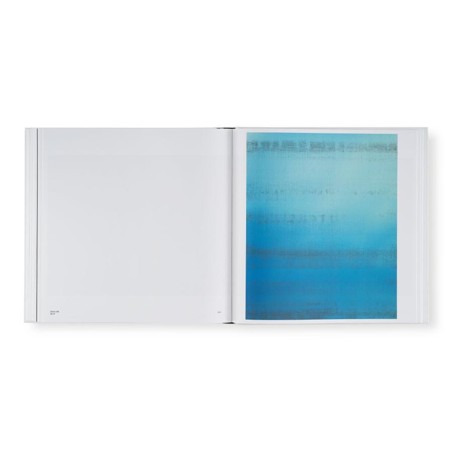 Wolfgang Tillmans: Saturated Lightの画像