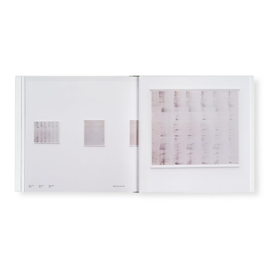 Wolfgang Tillmans: Saturated Lightの画像