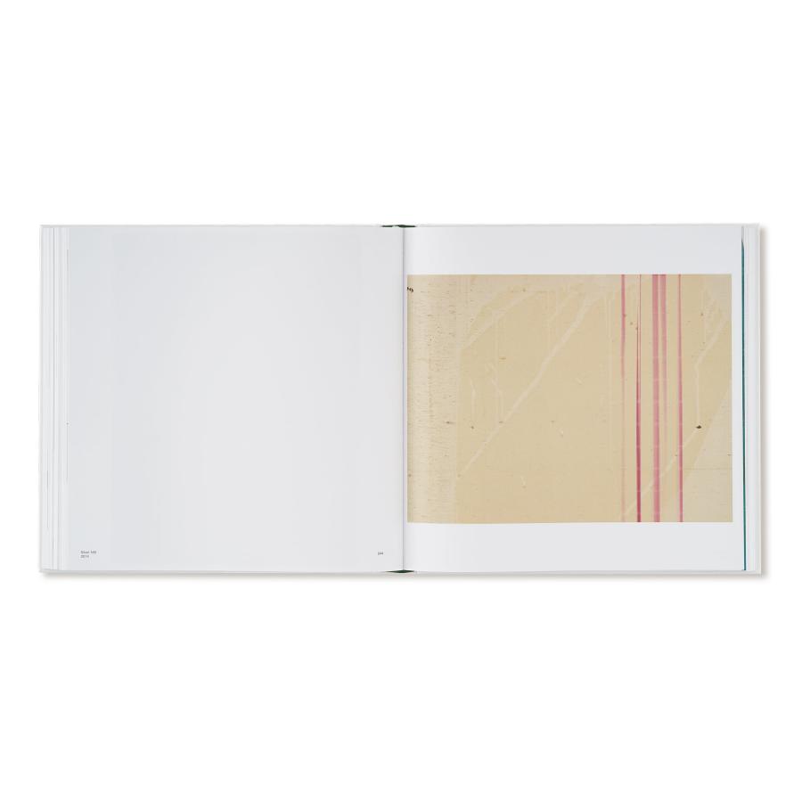 Wolfgang Tillmans: Saturated Lightの画像