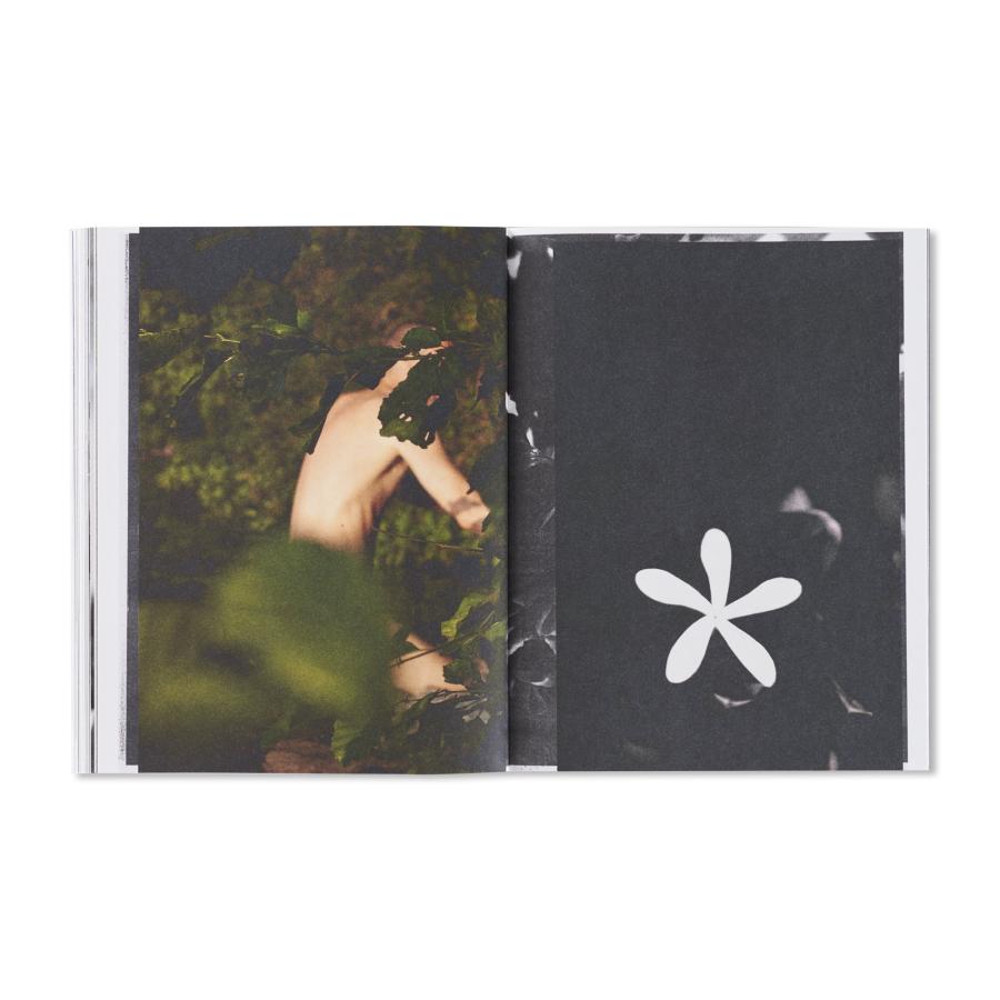 Wolfgang Tillmansの画像
