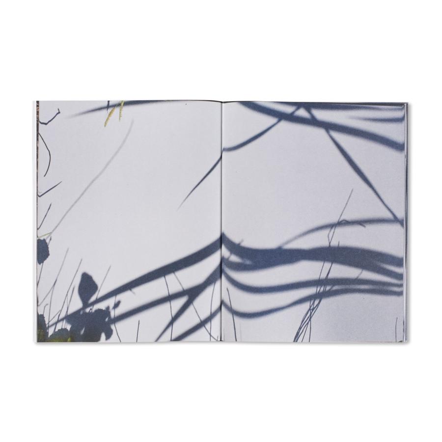 Wolfgang Tillmansの画像