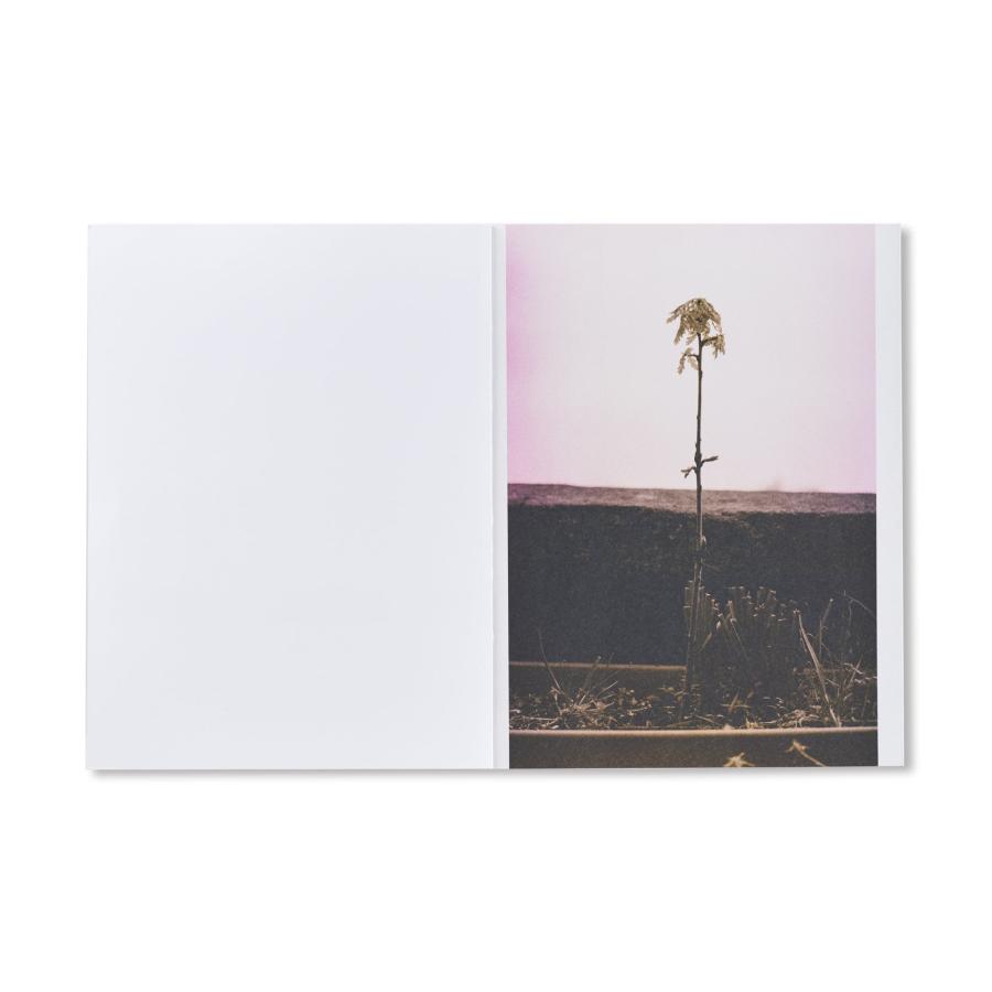 Wolfgang Tillmansの画像