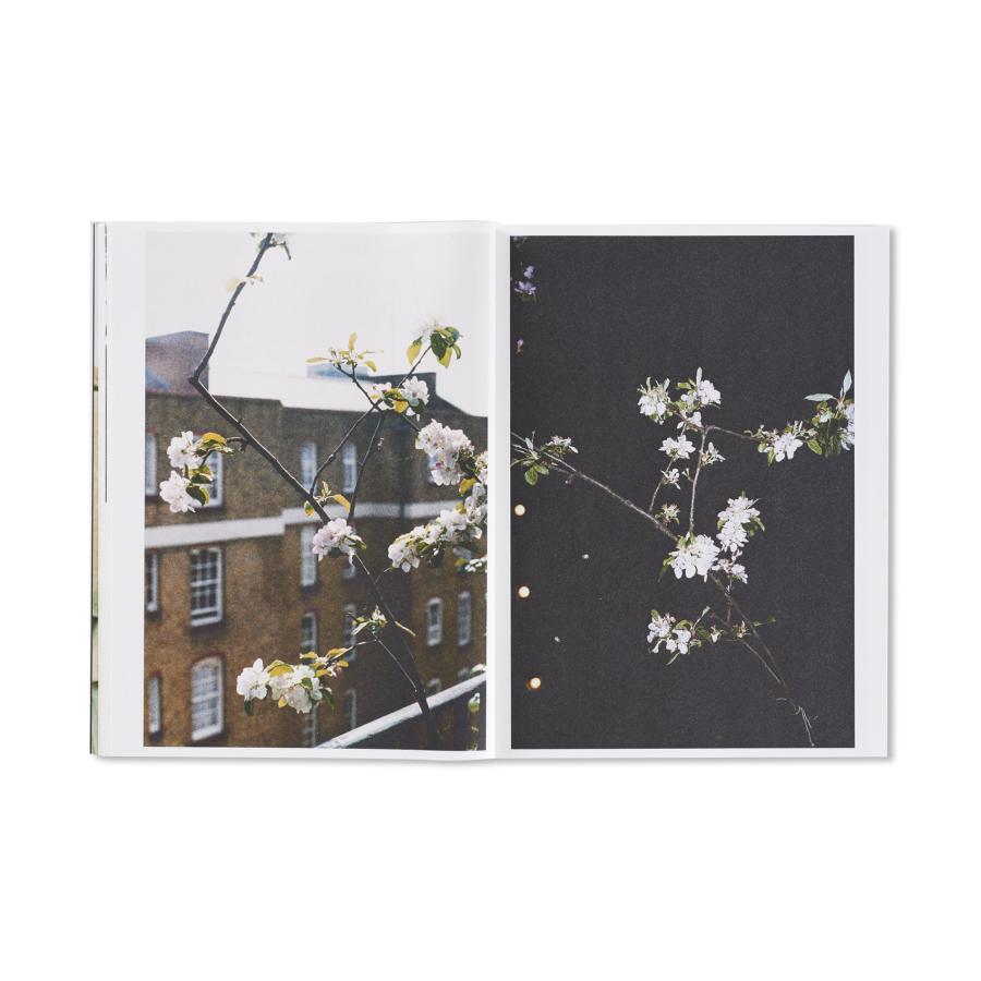 Wolfgang Tillmansの画像