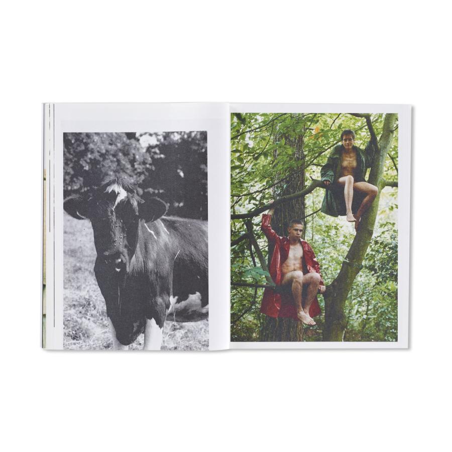 Wolfgang Tillmansの画像