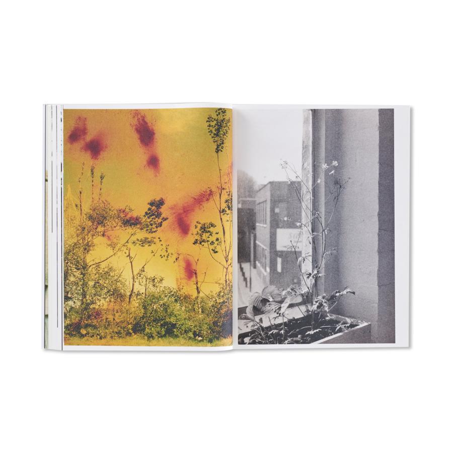 Wolfgang Tillmansの画像