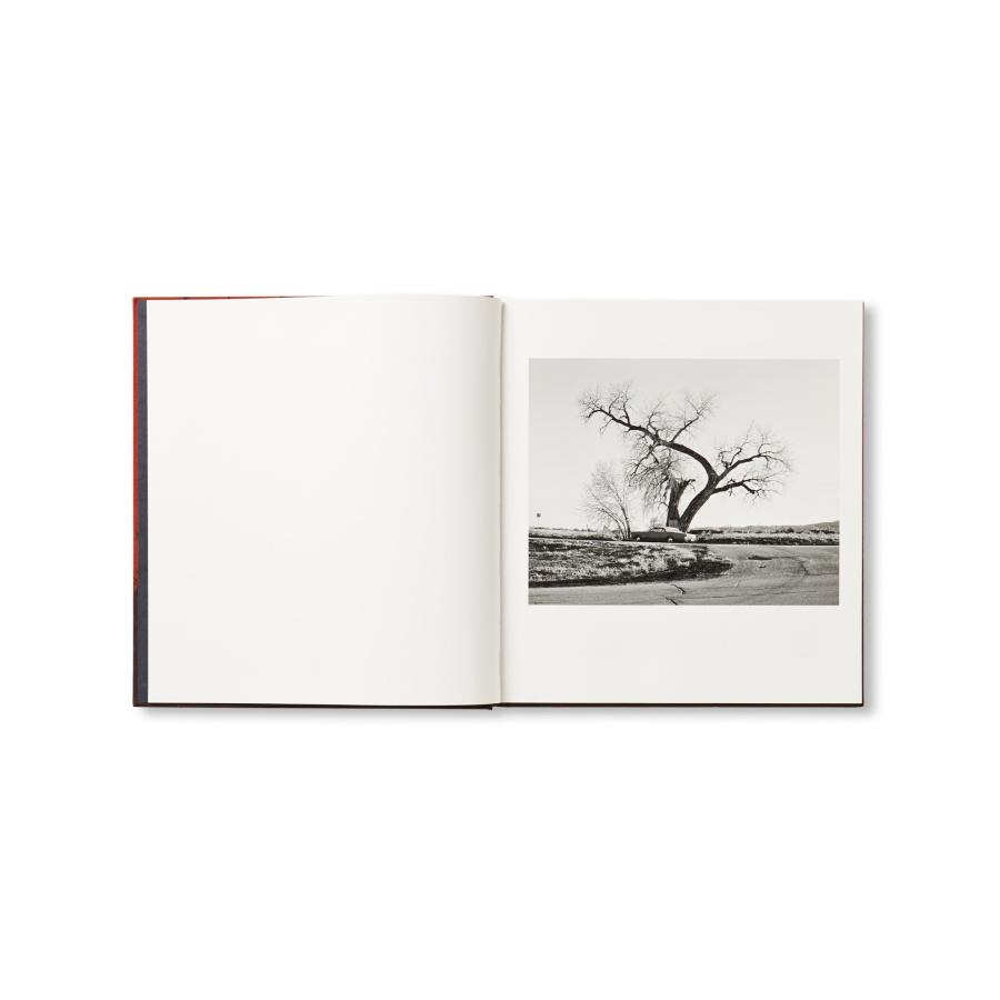 Vanessa Winship: She Dances on Jacksonの画像