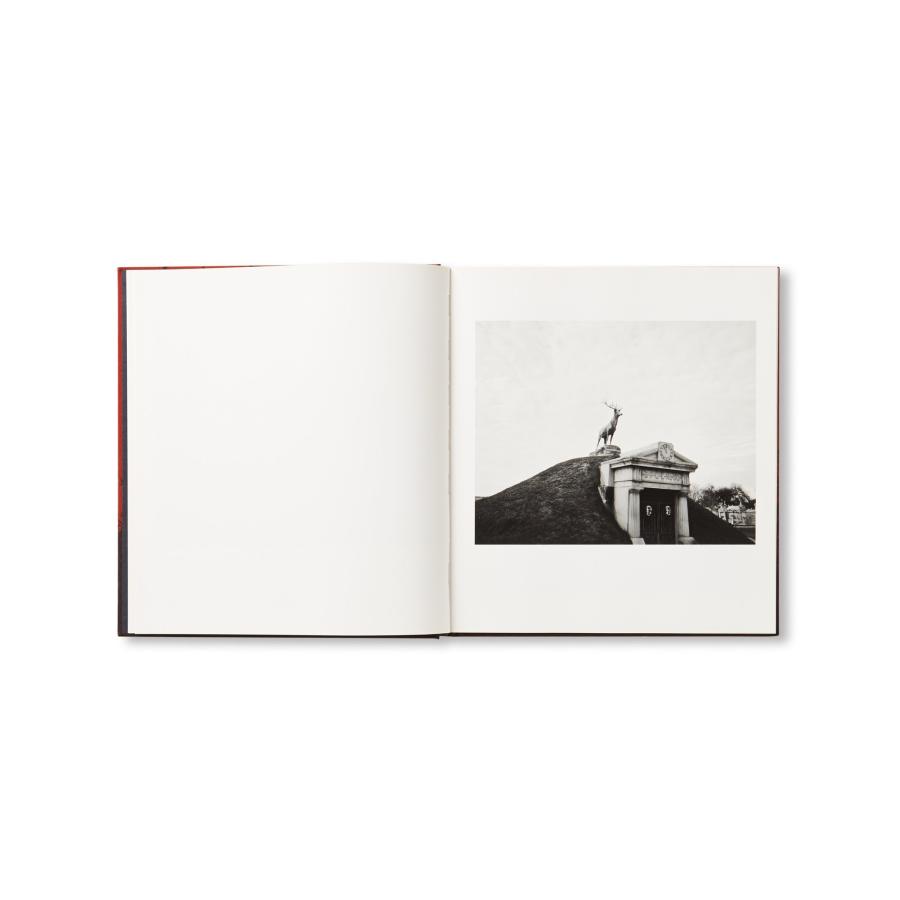 Vanessa Winship: She Dances on Jacksonの画像