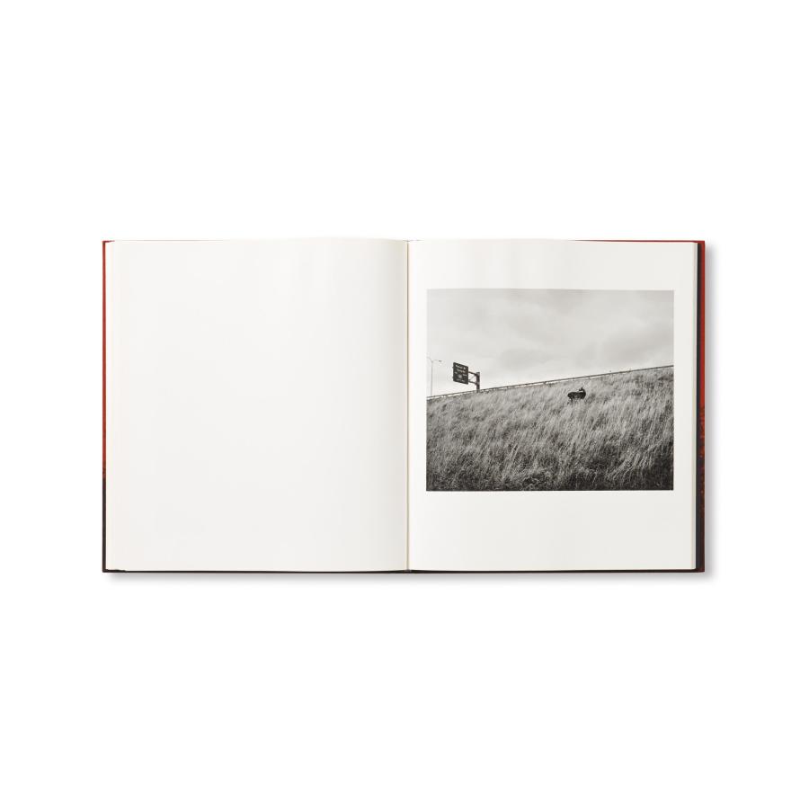 Vanessa Winship: She Dances on Jacksonの画像