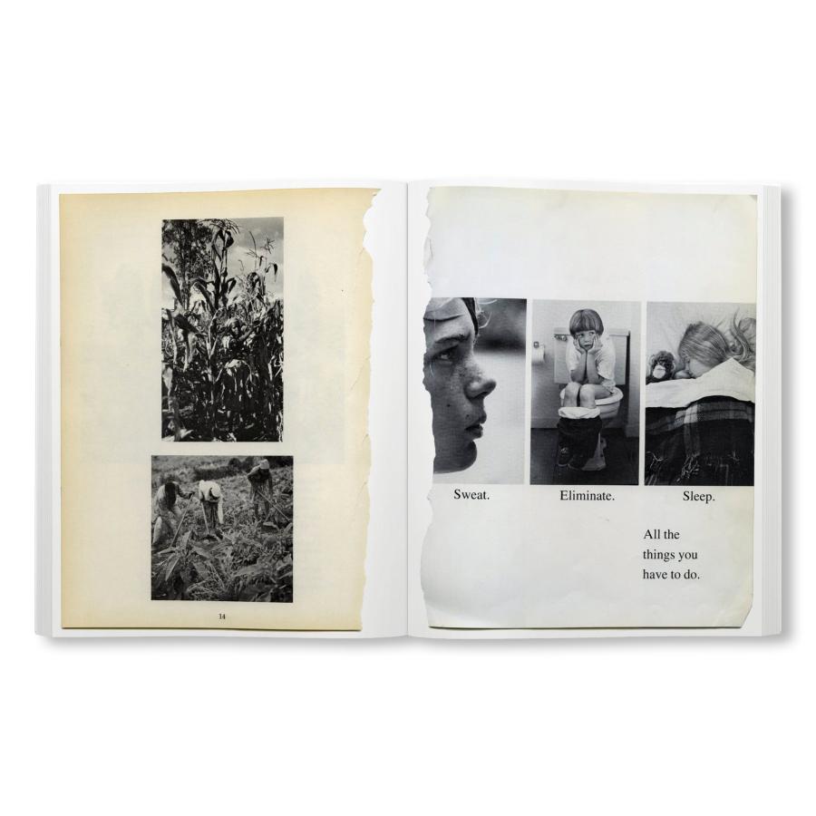 Carmen Winant: Arrangementsの画像