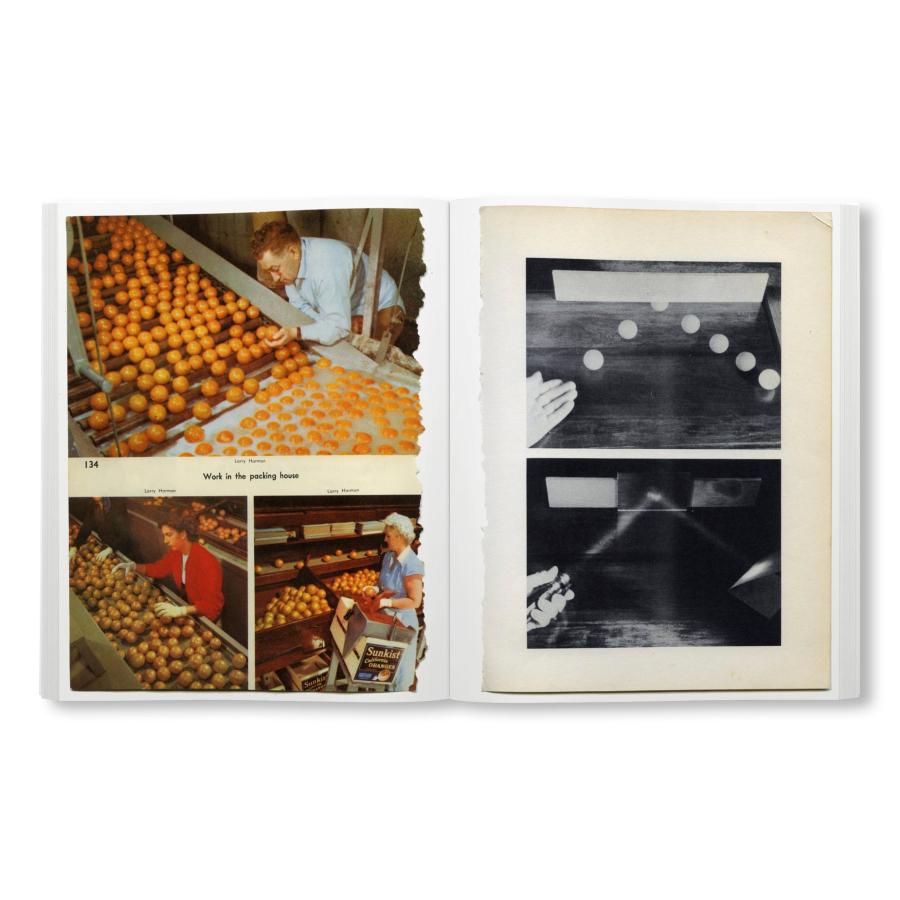 Carmen Winant: Arrangementsの画像