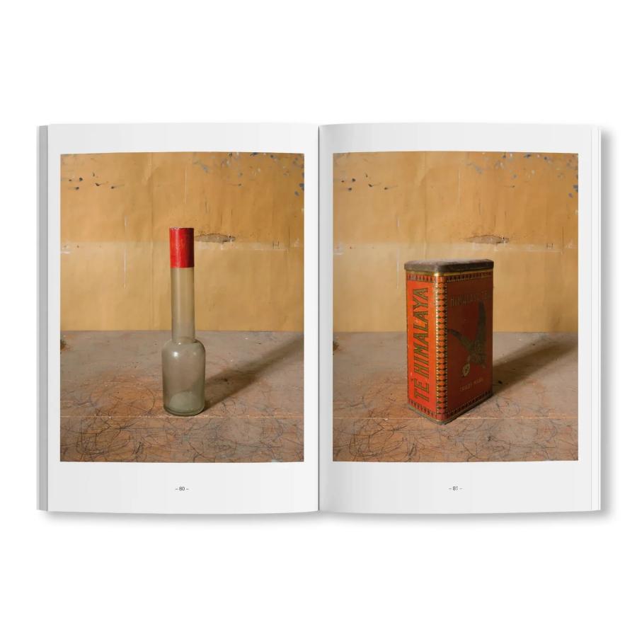 Joel Meyerowitz: Morandi's Objects The Complete Archiveの画像