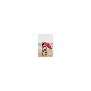 【並行輸入品】 Outvita 12x12フィート インスタントポップアップスクリーンテント   屋外ガゼボキャノピー 蚊帳\u0026キャリーバッグ付きの画像