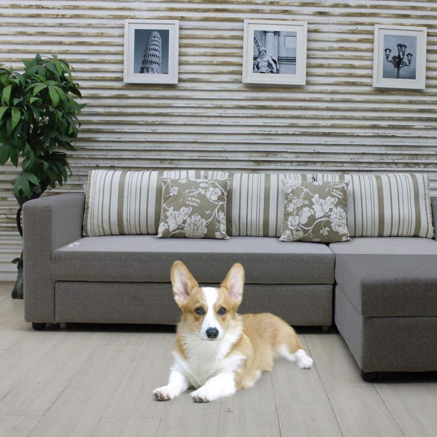 【並行輸入品】 Floppy Dawg Large Dog Bed with Two Removable， Washable Covers an_9