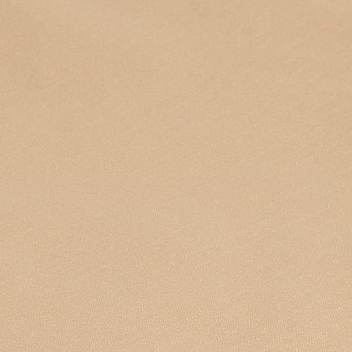 【並行輸入品】 FUNOMOCYA Tent Umbrella Cloth Canopy Replacement Top Cover Tentの画像