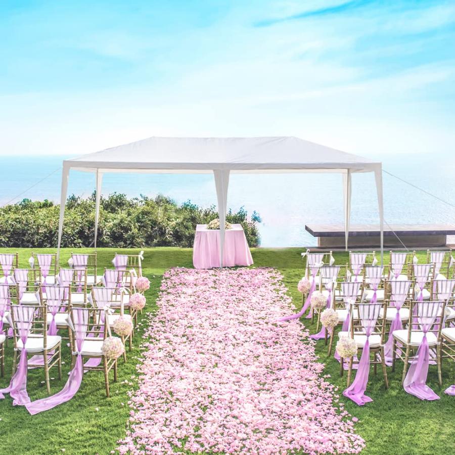 【並行輸入品】 10x20 Canopy with Sidewalls, Instant Pop Up Party Tent, Portableの画像