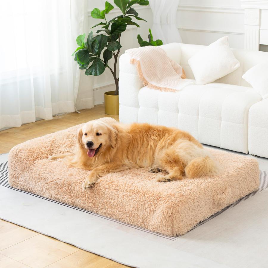 【並行輸入品】 Best Friends by Sheri Throne ハイボルスター 整形外科救済 猫と犬のベッド ミニタイドプール Best_3
