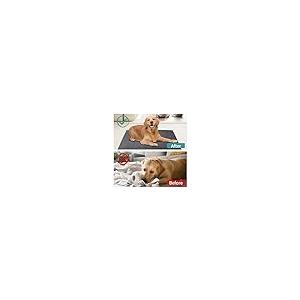 【並行輸入品】 Furhaven Replacement Dog Bed Cover Terry & Suede Mattress， Machi_8