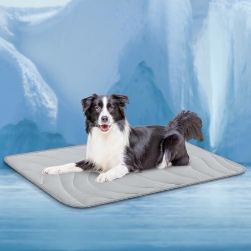 並行輸入品】 犬用クレートマット (24インチ x 18インチ) 2枚パック