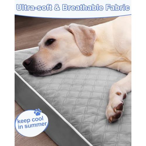 【並行輸入品】 RRPETHOME (ライペトーム) 大型犬用ベッド 高所冷却犬用ベッド 大型犬用ベッド 大型犬用アウトドア 犬用ベッド 噛み防止 |  | 04