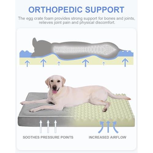 【並行輸入品】 RRPETHOME (ライペトーム) 大型犬用ベッド 高所冷却犬用ベッド 大型犬用ベッド 大型犬用アウトドア 犬用ベッド 噛み防止 |  | 07