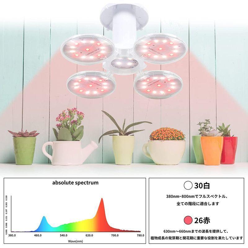 SINJIAlight 植物育成ライト 50W相当 小型コンパクト 折りたたみ可能 フルスペクトル e26口金 56個LED 光補足 日照不 :20220423004040-01973:ニューインテックストア - 通販 - Yahoo!ショッピング SINJIAlight 植物育成ライト 50W相当 小型コンパクト 折りたたみ可能 フルスペクトル e26口金 56個LED 光補足 日照不 :20220423004040-01973:ニューインテックストア - 通販 - Yahoo!ショッピング