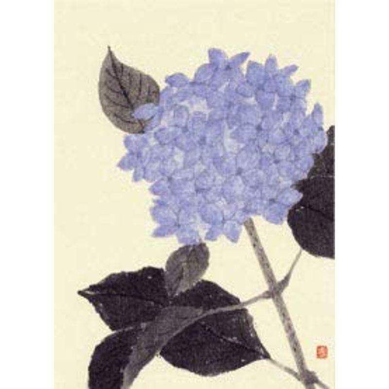 ニューインテックストア清野蒼花 花と実 絵葉書 紫陽花 10枚入り Sale 99 Off