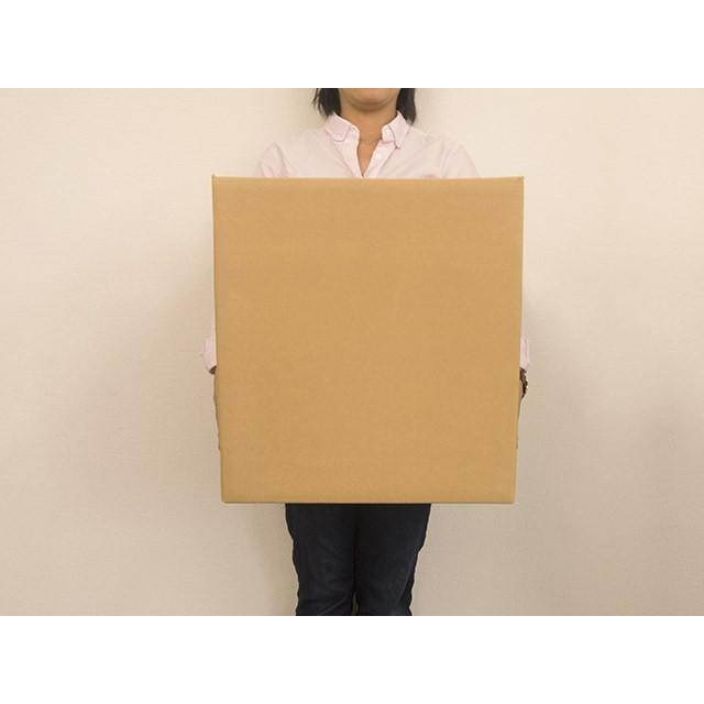 法人様用ダンボール箱 120サイズ 段ボール 引越し 購入 梱包 385x350x410mm（ＧＰ3）｜new-pack｜03