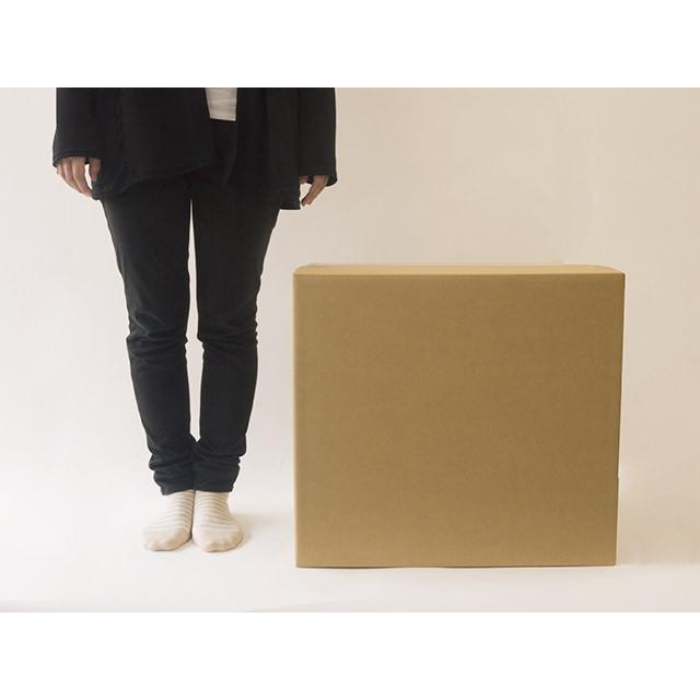 法人様用ダンボール箱 160サイズ 段ボール 引越し 購入 梱包 555x445x500mm(GP9)|new-pack|03
