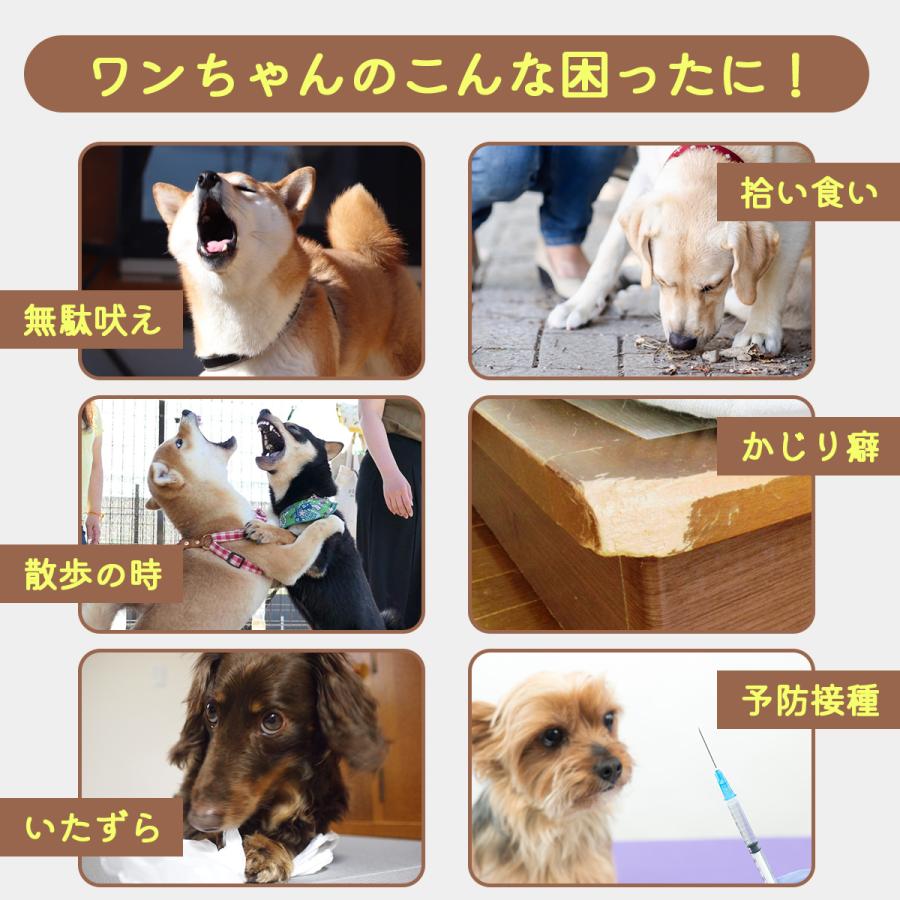 口輪 犬 大型犬 チワワ 噛みつき 防止 マズル メッシュ 無駄吠え防止 グッズ 噛みつき防止 犬用 しつけ | ブランド登録なし | 01