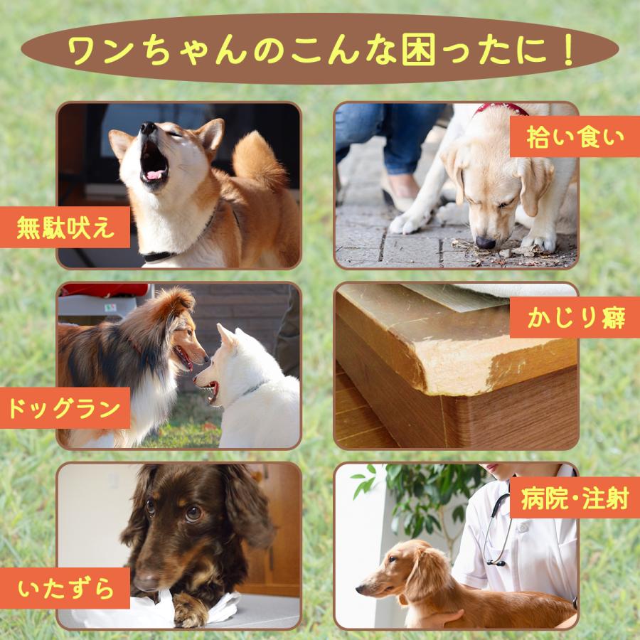 犬 口輪 メッシュ マズル 水が飲める 噛みつき防止 無駄吠え防止 犬用 しつけ 噛みつき 防止 | ブランド登録なし | 01