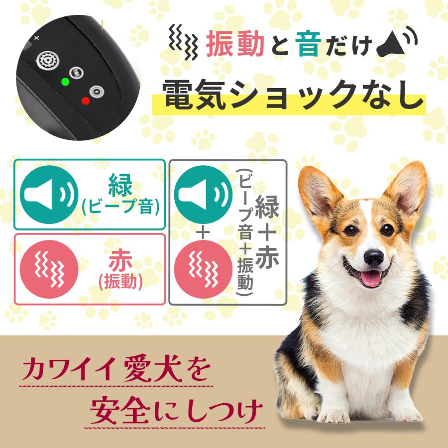 無駄吠え防止首輪 無駄吠えグッズ しつけ 首輪 おしゃれ 小型犬 中型犬