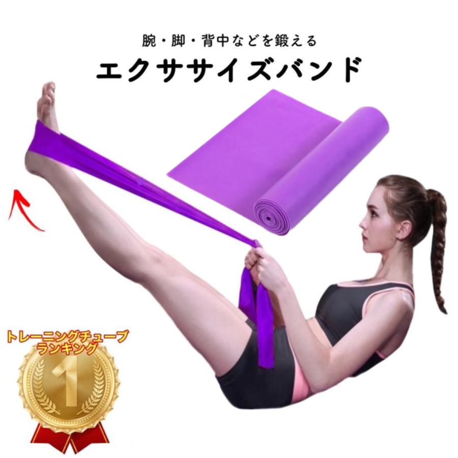 トレーニングチューブ エクササイズバンド 筋トレ チューブ 最強 トレーニングチューブ エクササイズバンド 筋トレ チューブ 最強