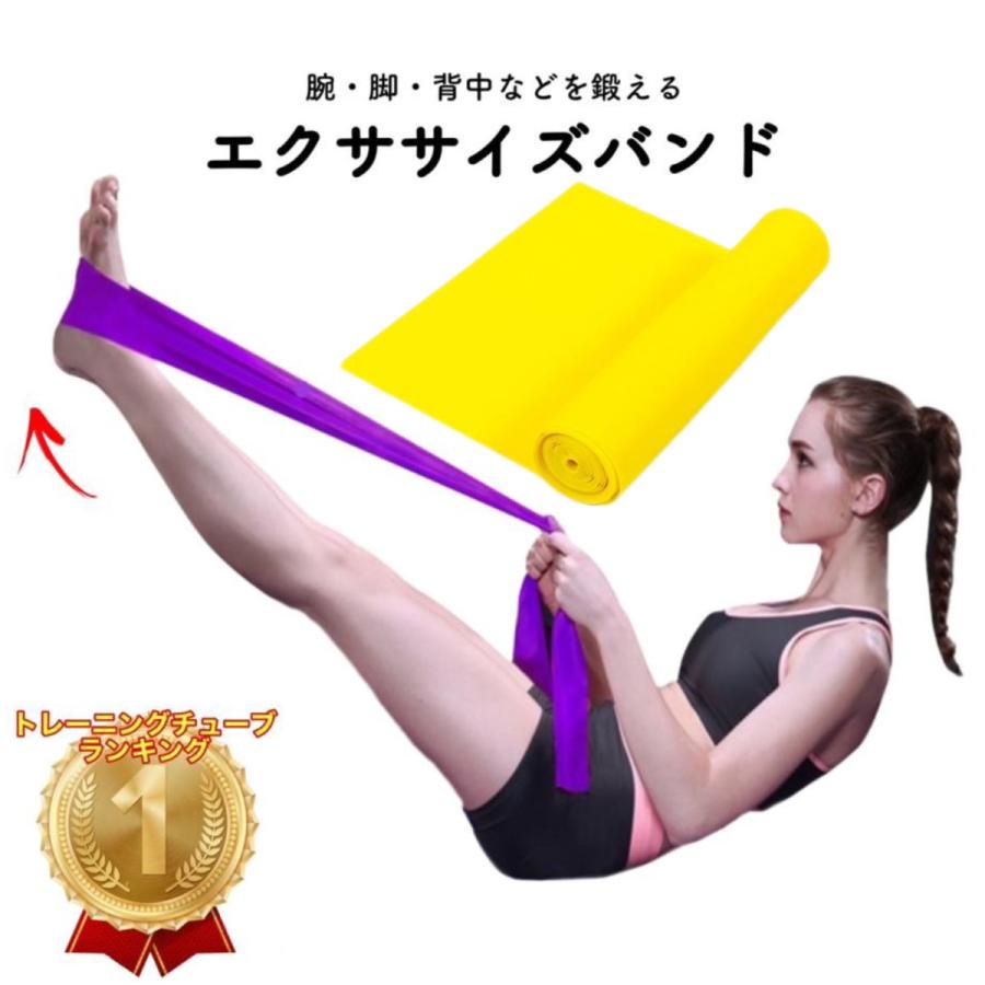 トレーニングチューブ エクササイズバンド 筋トレ チューブ 最強 トレーニングチューブ エクササイズバンド 筋トレ チューブ 最強