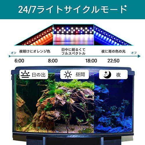 水槽ライト アクアリウム 72個led 7色 色循環 昼光 月光モード 水槽照明 熱帯魚 観賞魚 水草 明るさ調整 タイマー付き 淡水 海水 吸盤式 50 100cｍ水槽適用 A B09b8vs5q1 2109 New Ace Shop 通販 Yahoo ショッピング