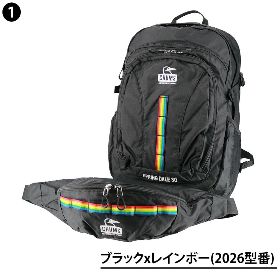 最大42％ チャムス バッグ リュック バックパック ザックパック 登山 CHUMS スプリングデール30 30L B4 A4 CH60-3998 CH60-4097 メンズ レディースの画像