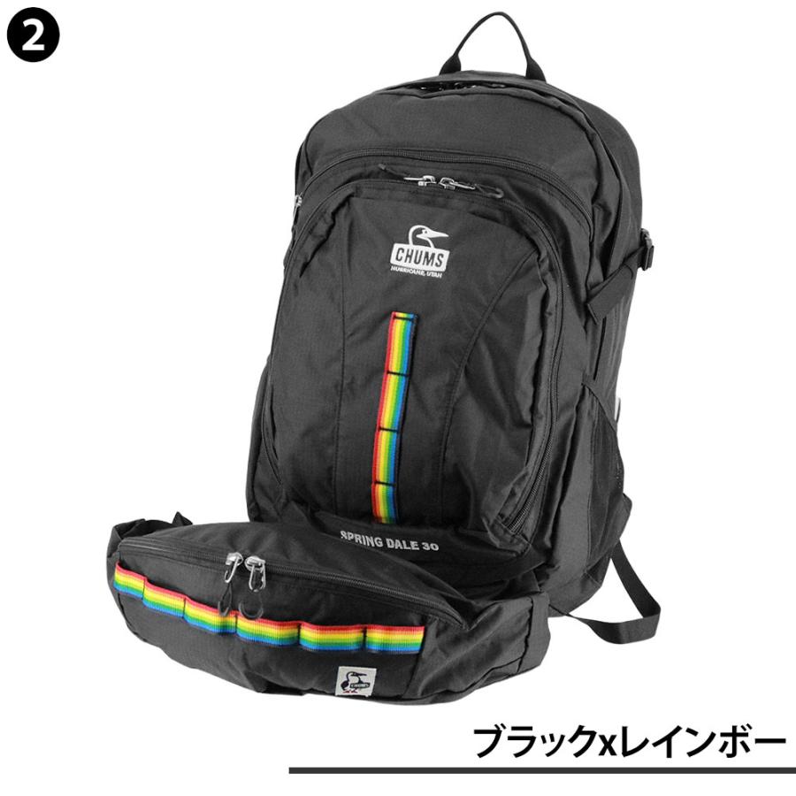 最大42％ チャムス バッグ リュック バックパック ザックパック 登山 CHUMS スプリングデール30 30L B4 A4 CH60-3998 CH60-4097 メンズ レディースの画像