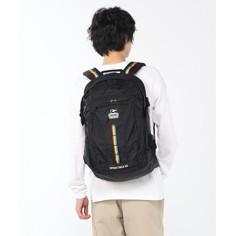 最大42％ チャムス バッグ リュック バックパック ザックパック 登山 CHUMS スプリングデール30 30L B4 A4 CH60-3998 CH60-4097 メンズ レディースの画像