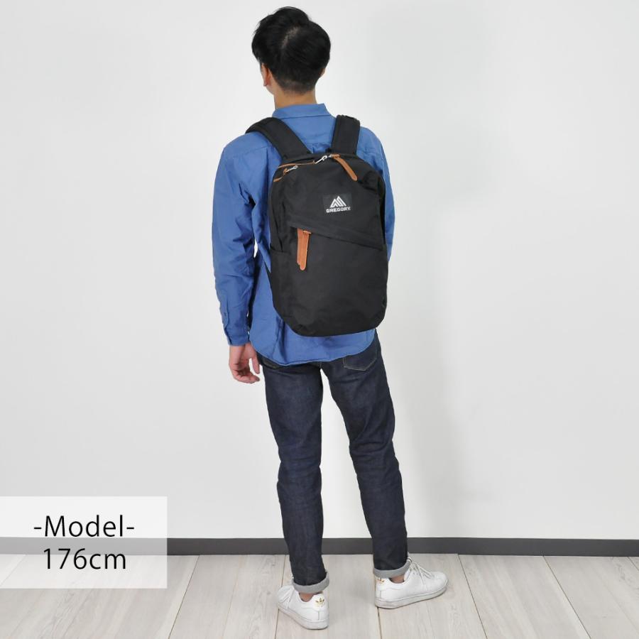 GREGORY 最大P+16% グレゴリー リュックサック デイパック GREGORY 最大P+16% グレゴリー リュックサック デイパック