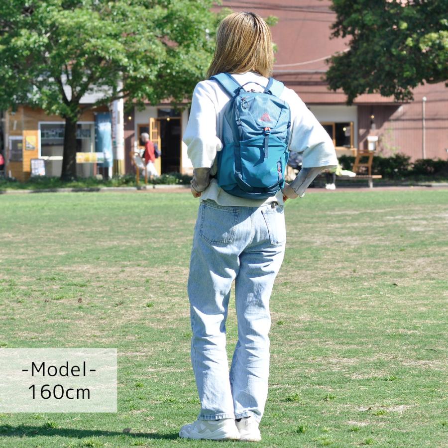 GREGORY 青 リュック・バックパック suitcase-w_g01wander12