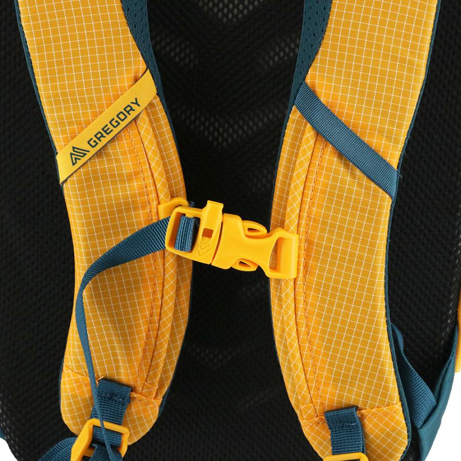 最大37％ グレゴリー バッグ リュックサック デイパック バックパック キッズリュック GREGORY ワンダー8 8L B5サイズ メンズ レディース キッズの画像