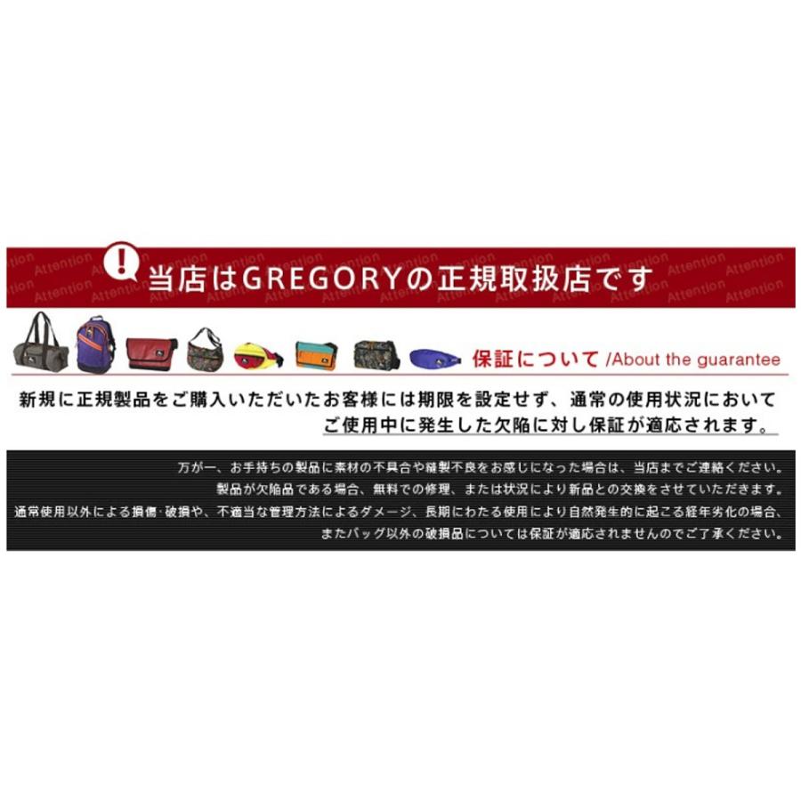 最大P+16% GREGORY グレゴリー リュックサック リュック SPEAR スピア RECON PACK リーコンパック デイパック バックパック 人気 送料無料 Kupon1120｜newbag-w｜17