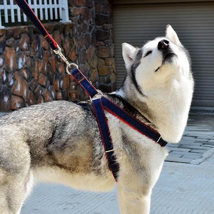 Mサイズ ペット用品 犬 首輪 ハーネス リード ナイロン ハーネスと首輪