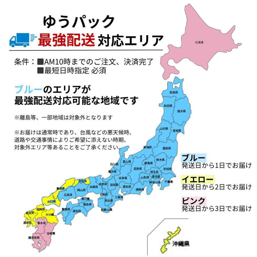 毎日発送！ゴルフウェア メンズ 春夏 ゴルフパンツ メンズペンタッチ柄