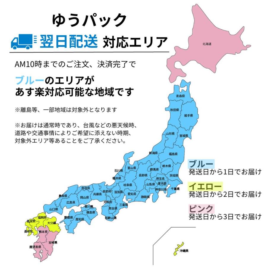 3L 4L 大きいサイズ ゴルフパンツ メンズ ゴルフウェア ストレッチ
