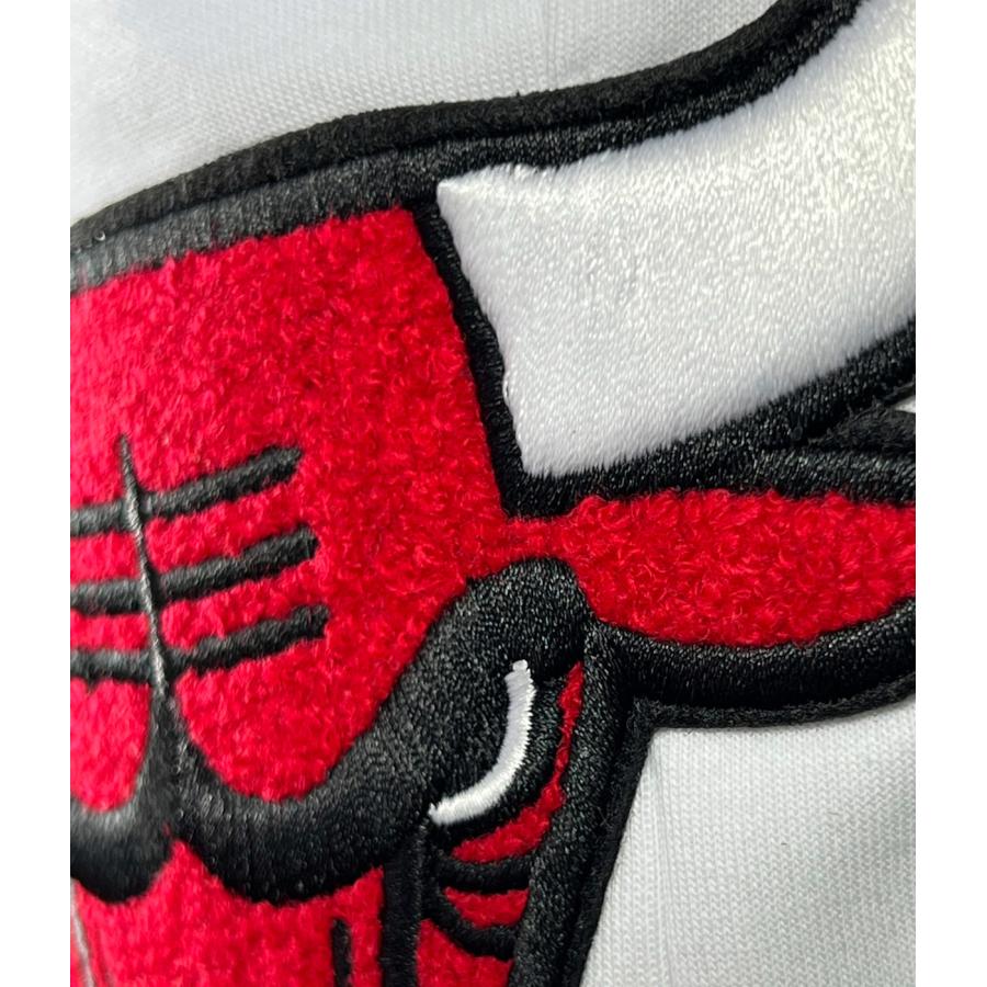 PRO STANDARD プロ スタンダード シカゴブルズ パンツ BULLS NBA