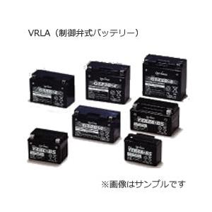 GSユアサ GYB バイク用バッテリー YTZ12S (液入り充電済/正規品