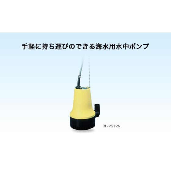 工進（KOSHIN） コーシン 海水用水中ポンプ マリンペット 口径25mm